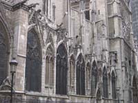 IMG_0291